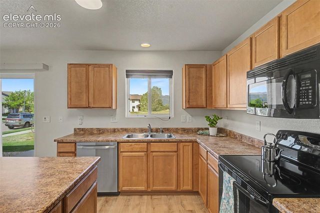 11675 Black Maple Lane, Colorado Springs, CO 80921
