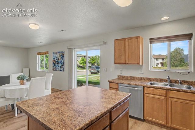 11675 Black Maple Lane, Colorado Springs, CO 80921