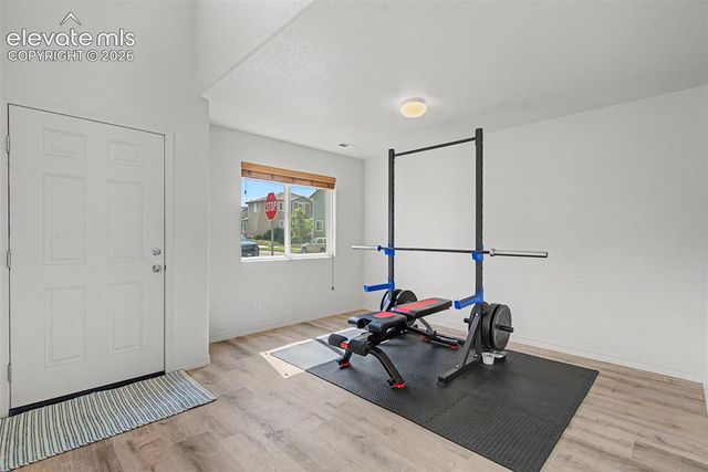 11675 Black Maple Lane, Colorado Springs, CO 80921