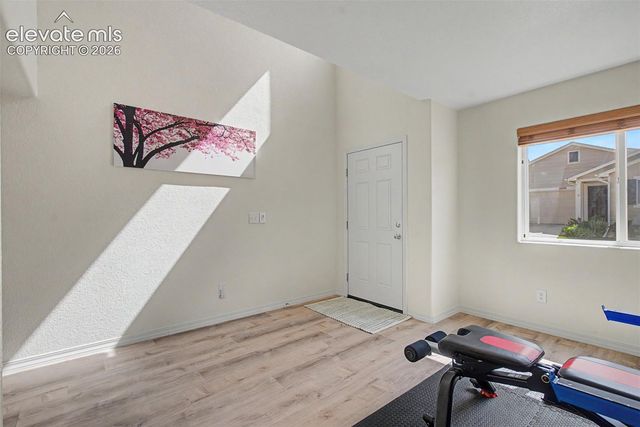 11675 Black Maple Lane, Colorado Springs, CO 80921