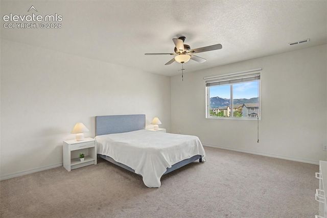 11675 Black Maple Lane, Colorado Springs, CO 80921