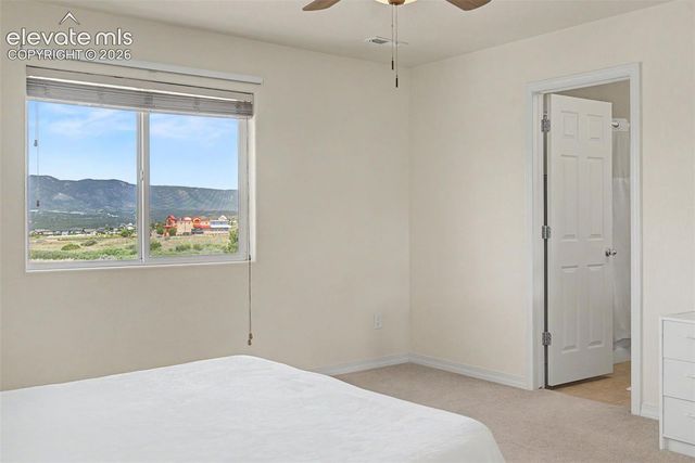 11675 Black Maple Lane, Colorado Springs, CO 80921