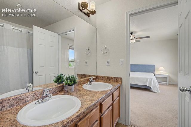 11675 Black Maple Lane, Colorado Springs, CO 80921