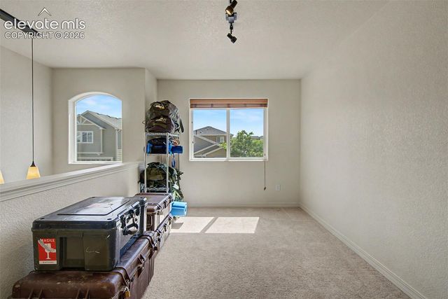 11675 Black Maple Lane, Colorado Springs, CO 80921