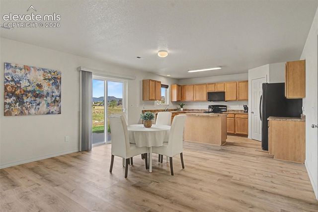 11675 Black Maple Lane, Colorado Springs, CO 80921