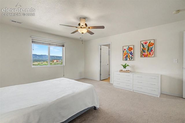 11675 Black Maple Lane, Colorado Springs, CO 80921