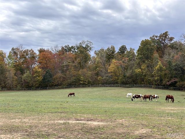 352 Madison Wayne 9305, Unincorporated, MO 63655