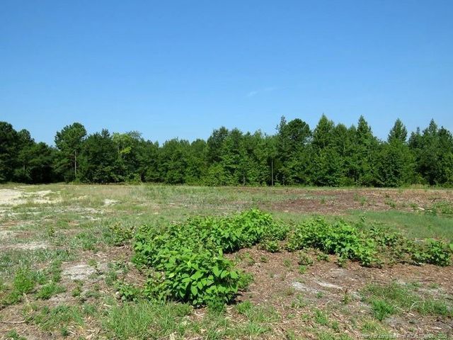 TBD Alamac (Off of) Road, Lumberton, NC 28358