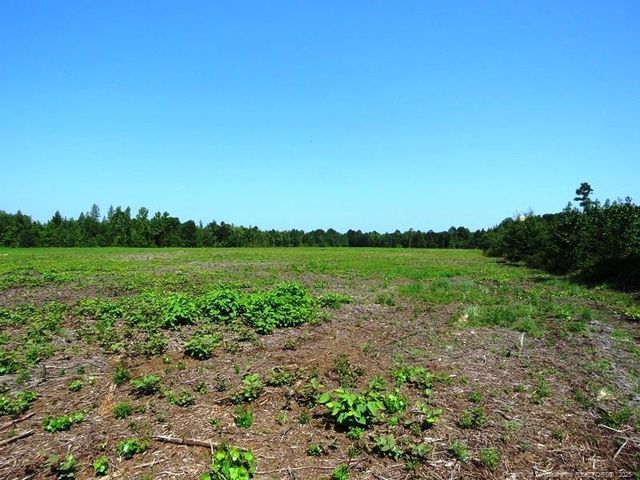 TBD Alamac (Off of) Road, Lumberton, NC 28358