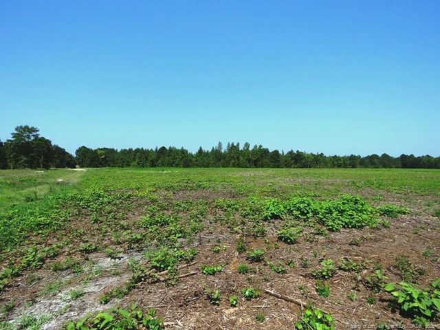 TBD Alamac (Off of) Road, Lumberton, NC 28358
