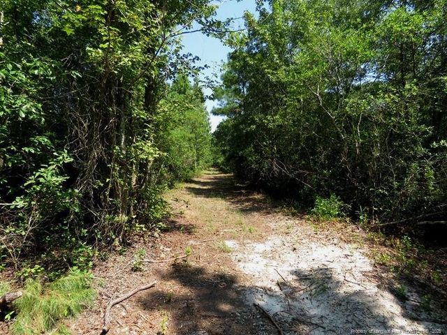 TBD Alamac (Off of) Road, Lumberton, NC 28358
