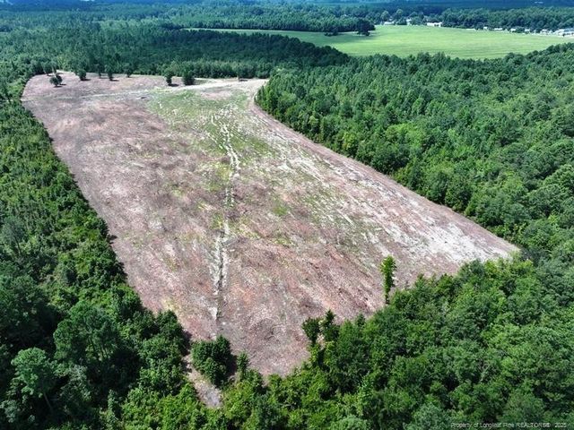 TBD Alamac (Off of) Road, Lumberton, NC 28358