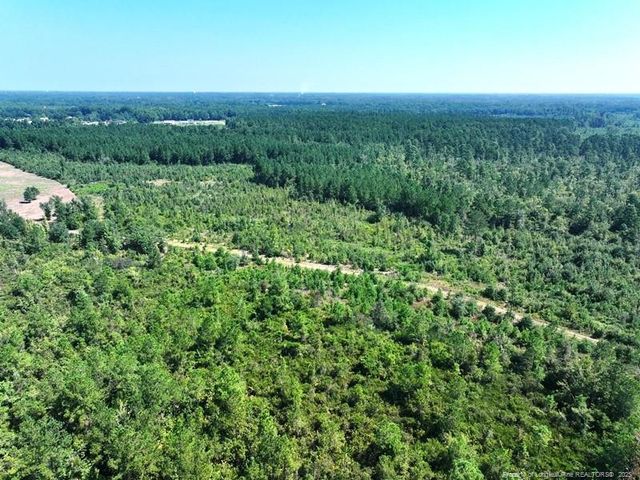 TBD Alamac (Off of) Road, Lumberton, NC 28358