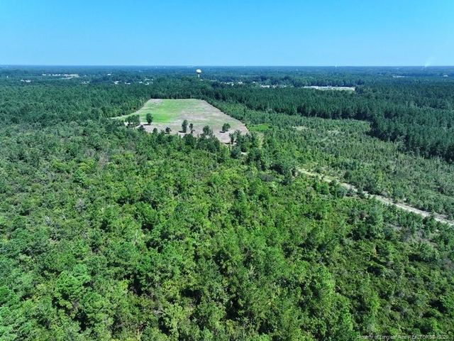 TBD Alamac (Off of) Road, Lumberton, NC 28358