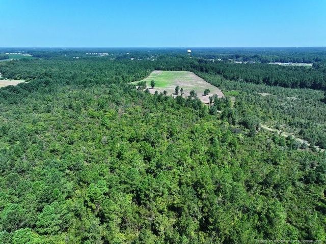 TBD Alamac (Off of) Road, Lumberton, NC 28358