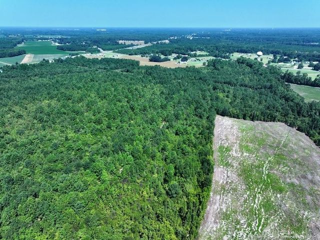 TBD Alamac (Off of) Road, Lumberton, NC 28358