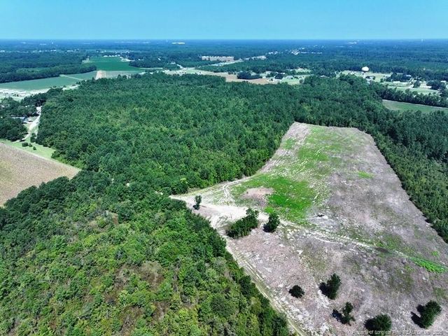 TBD Alamac (Off of) Road, Lumberton, NC 28358
