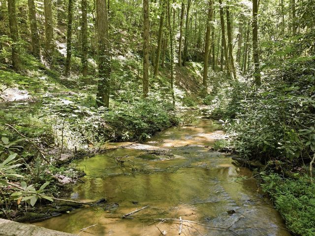 788 Joann Sisson Road, Blue Ridge, GA 30513