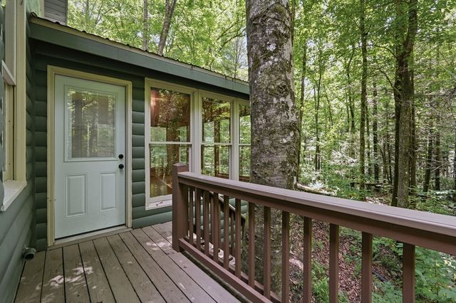 788 Joann Sisson Road, Blue Ridge, GA 30513