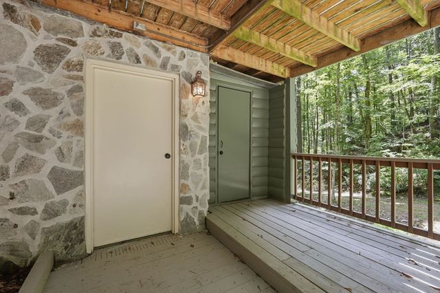 788 Joann Sisson Road, Blue Ridge, GA 30513