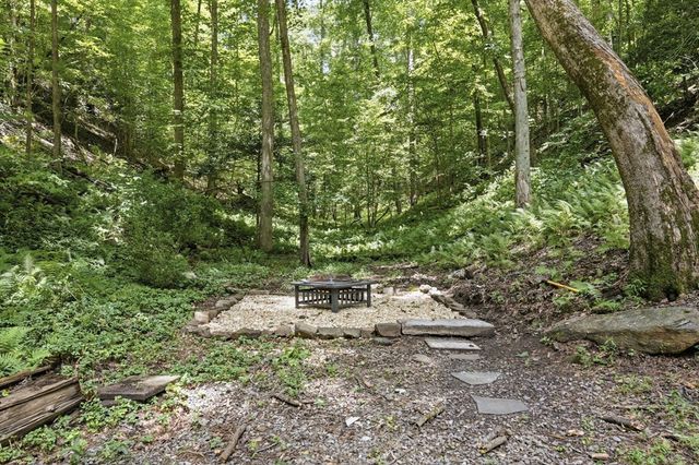 788 Joann Sisson Road, Blue Ridge, GA 30513