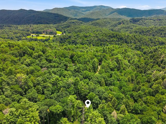 788 Joann Sisson Road, Blue Ridge, GA 30513