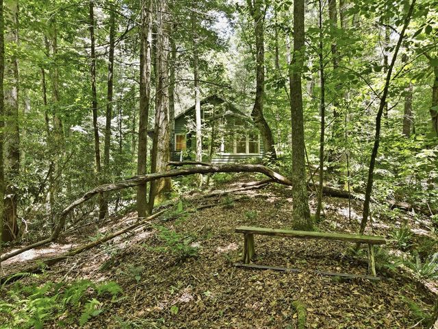 788 Joann Sisson Road, Blue Ridge, GA 30513