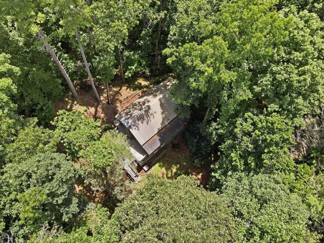 788 Joann Sisson Road, Blue Ridge, GA 30513