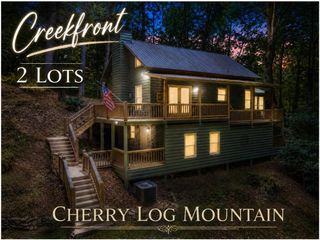788 Joann Sisson Road, Blue Ridge, GA 30513