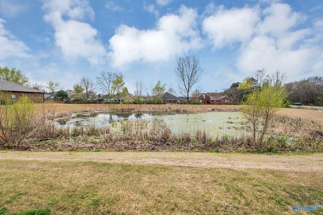 201 Poplar Hollow Drive, Harvest, AL 35749