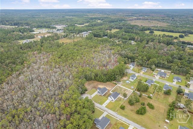 1138 Hanover Lane NE, Townsend, GA 31331