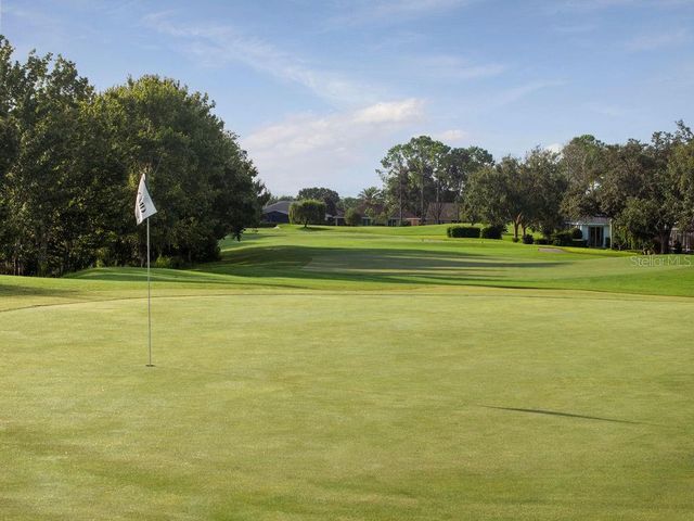 9008 HEATHLAND COURT, Mount Dora, FL 32757