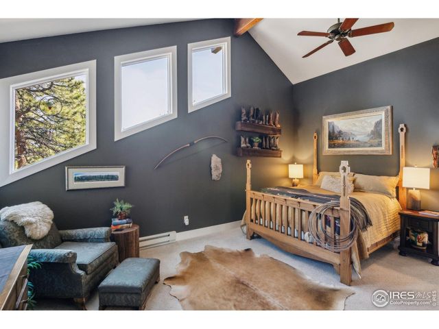 146 Ponderosa Ct, Red Feather Lakes, CO 80545