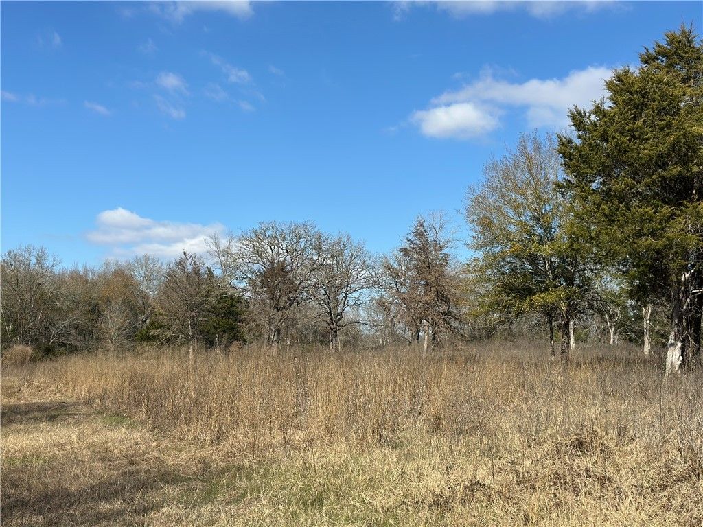 10892 FM 391, Hearne, TX 77859 — photo 4