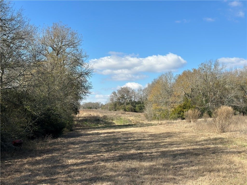 10892 FM 391, Hearne, TX 77859 — photo 5