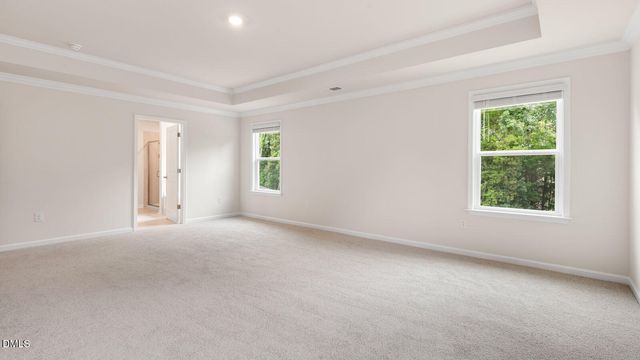 18 East Fire Opal Court, Clayton, NC 27520