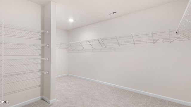 18 East Fire Opal Court, Clayton, NC 27520