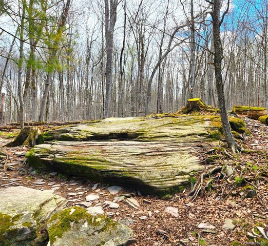 150 Hartwood Drive, Smallwood, NY 12778