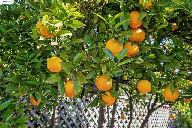 23719 Nevada Rd, Hayward, CA 94541