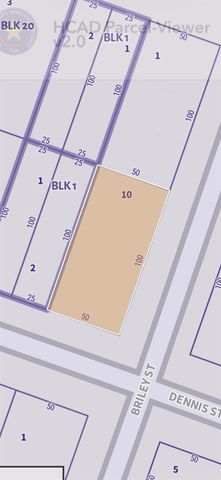 2610 Briley Street, Houston, TX 77004