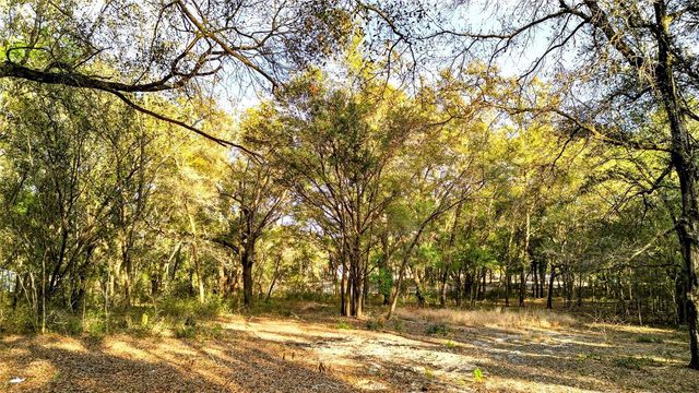 SE 180TH STREET, Weirsdale, FL 32195