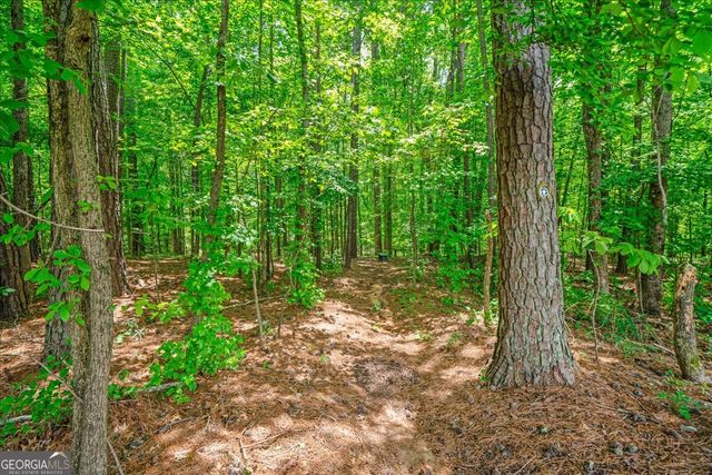 136 Churchcliff Drive, Woodstock, GA 30188