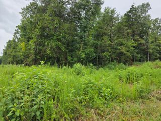 Lot 261 Saratoga/Elm, Shell Knob, MO 65747