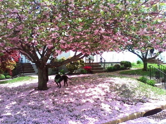 305 Woodlawn Ave, Linden City, NJ 07036