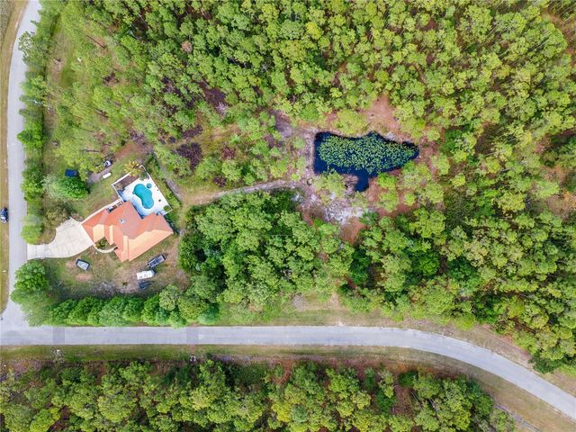 225 LIMPKIN LANE, Frostproof, FL 33843