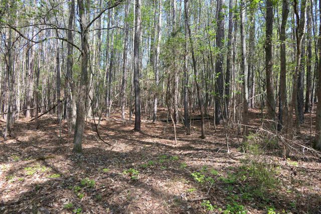 730 Browning Road, Enoree, SC 29335