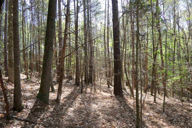 730 Browning Road, Enoree, SC 29335