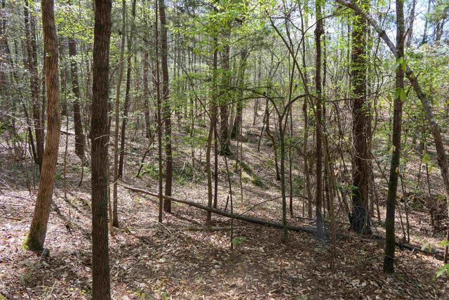 730 Browning Road, Enoree, SC 29335