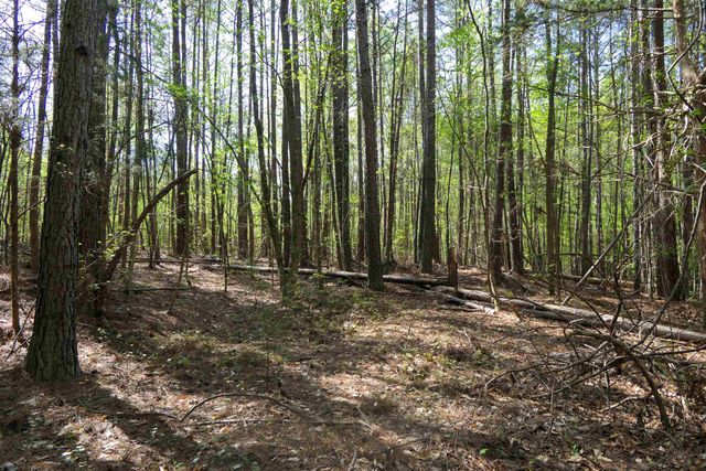 730 Browning Road, Enoree, SC 29335