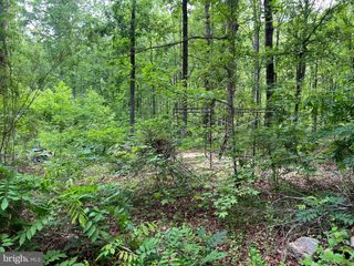 13012 ORANGE PLANK RD, Locust Grove, VA 22508